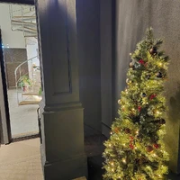 画像253