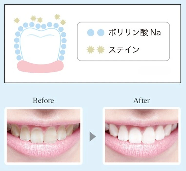 画像288