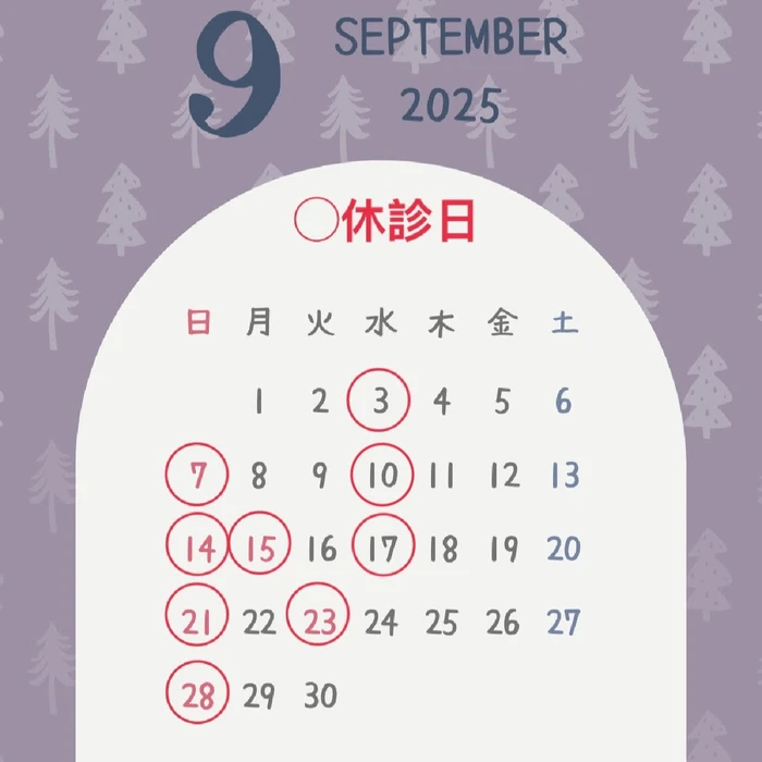 画像313